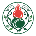 五觉文化