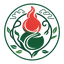 五觉文化
